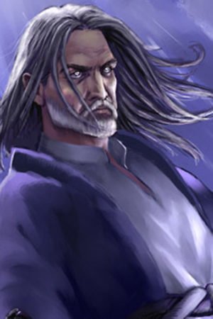 A mage with long gray hair.