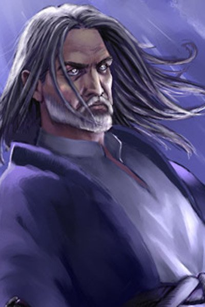 A mage with long gray hair. 