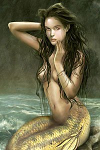 A lovely mermaid with long black hair preens on a rocky shore.
